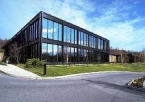 155 White Plains Rd., Westchester, New York, ,Office,For Rent,155 White Plains Rd.,155 White Plains Rd.,2,2533