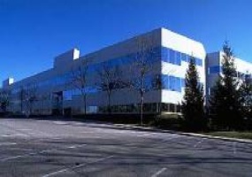 411 Theodore Fremd Ave., Westchester, New York, ,Office,For Rent,411 Theodore Fremd Ave.,411 Theodore Fremd Ave.,3,2664