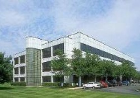 299 Cherry Hill Rd., Morris, New Jersey, ,Office,For Rent,Ivy Center,299 Cherry Hill Rd.,3,5395