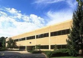 188 Mt. Airy Rd., Somerset, New Jersey, ,Office,For Rent,Mt. Airy Corners,188 Mt. Airy Rd.,2,6314