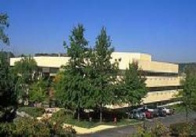 300 Executive Drive, Essex, New Jersey, ,Office,For Rent,Executive Hill,300 Executive Drive,3,6597