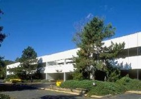 Silverline Corporate Plaza, Middlesex, New Jersey, ,Office,For Rent,53 Knightsbridge Rd.,Silverline Corporate Plaza,2,7226