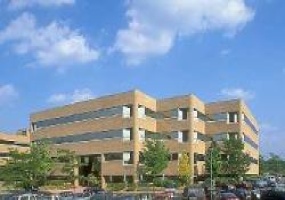 10 Independence Blvd., Somerset, New Jersey, ,Office,For Rent,Somerset Hills Corporate Center,10 Independence Blvd.,4,1649