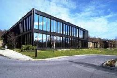 155 White Plains Rd., Westchester, New York, ,Office,For Rent,155 White Plains Rd.,155 White Plains Rd.,2,8181