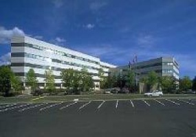 Fairfield, Connecticut, ,Office,For Rent,RiverPark,5,9126