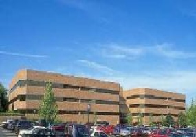 Nine Campus Drive, Morris, New Jersey, ,Office,For Rent,Mack-Cali Business Campus,Nine Campus Drive,3,1835